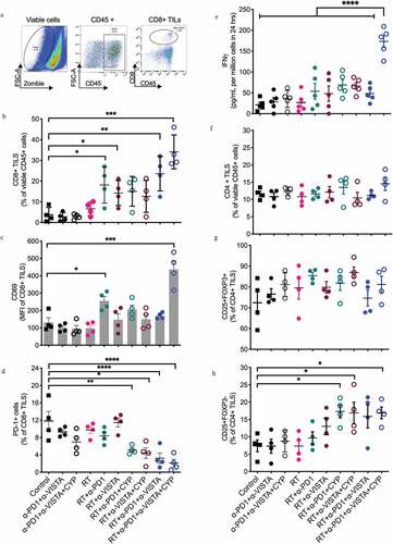 Figure 2. Changes in tumor infiltration by CD8+ T cells induced following the different treatments. 4T1 tumor-bearing mice were treated as described in Figure 1(a). On day 18 post 4T1 cell injection, tumors were excised and digested and single-cell suspensions analyzed by flow cytometry. (a) A multi-step gating strategy was employed to identify CD8+ TILs in dissociated tumors. Positive populations were identified based on negative staining on fluorescence-minus-one (FMO) controls. (b) Percentage of CD8+ T cell infiltration. (c) CD69 expression in CD8+ T cells and (d) percentage of CD8+ TILs expressing PD-1. (b-d, *p< .05, **p< .005, ***p< .0005, ****p< .0001, one-way ANOVA). (e) Effect of treatment on tumor-specific IFN-γ response in tumor-draining lymph nodes. Dissociated cell suspensions were incubated with peptides (tumor-specific epitope AH-1-A5) or irrelevant peptide pMCMV and IFN-γ production measured 48 hours later by ELISA. Each symbol represents the response of an individual mouse to tumor epitope AH-1-A5 after subtraction of the background response to pMCMV (****p< .0005, one-way ANOVA). (f) Percentage of CD4 + T cell infiltration. (g) Proportion of CD4+CD25+FOXP3+ regulatory T (TREG) cells in the CD4 compartment. (h) Expression of CD25 among effector CD4+ T cells. (*p< .05, one-way ANOVA)