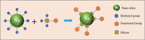 Figure 1. Schematic diagram of surface modification of silica nanoparticles
