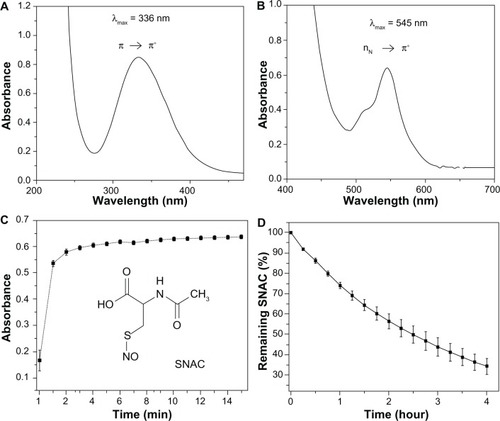 Figure 2 (A and B) Ultraviolet-visible spectral changes associated with the formation of S-nitroso-N-acetylcysteine (SNAC) through the S-nitrosation of N-acetylcysteine (NAC) with nitrous acid showing the two absorption bands characteristic of primary S-nitrosothiols with maxima at 336 and 545 nm. The concentration of the SNAC solution is 1 and 40 mM, respectively. (C) Kinetic curve of SNAC formation during the S-nitrosation of NAC based on the absorption band of SNAC at 545 nm. Inset: SNAC structure. (D) Kinetic curve of SNAC decomposition in simulated gastric fluid at a concentration of 1 mM, pH 1.5 and 37°C over 4 hours based on the absorption band of SNAC at 336 nm.