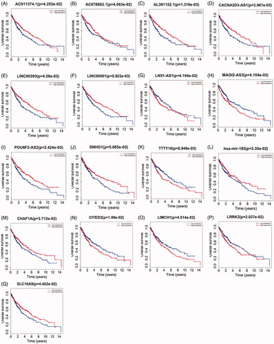 Figure 4. Kaplan–Meier curve analysis of DElncRNAs, DEmRNAs, DEmiRNAs and overall survival rate in LUSC samples.