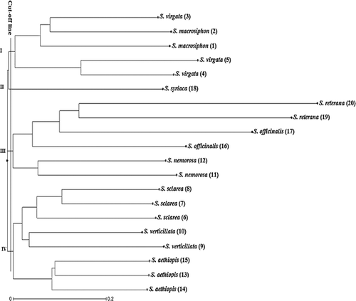 Figure 3. Dendrogram of Salvia accessions based on combined data (ISSR + SCoT) using the neighbour-joining (NJ) method.