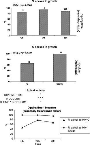 Figure 6.  Percentage of actively growing buds and interaction between the main (presence/absence of A. brasilense Sp245) and secondary (dipping time) factors.