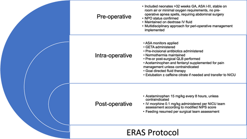 Figure 2 ERAS Protocol.