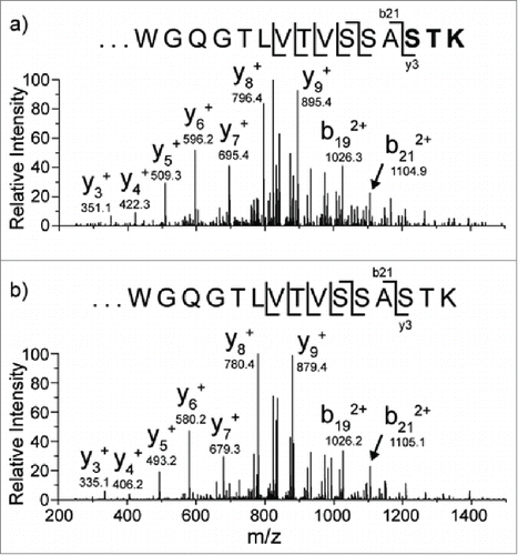 Figure 3. CID data from the modified (3a) m/z 854.1 [M+3H]3+ peptide and unmodified (3b) peptide m/z 848.8 [M+3H]3+. The oxygen addition is localized to one of the amino acids in bold.