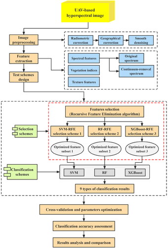 Figure 2. Workflow for designing the schemes of feature optimization and Moso bamboo forest information extraction.