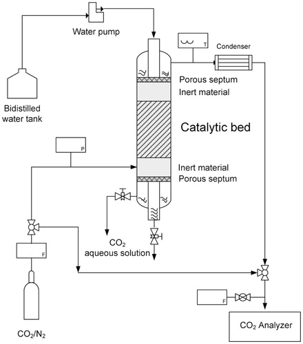 Figure 1.  Scheme of the experimental apparatus used for CO2 biomimetic absorption tests by three-phase trickle-bed reactor.