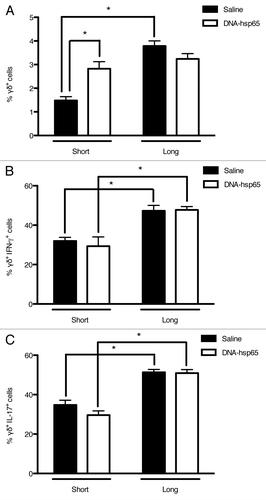 Figure 4. Effects of DNA-hsp65 immunization on γδT cells. Percentages of (A) total γδ+, (B) γδ+IFN-γ+ or (C) γδ+IL-17+ cells from the lungs. *p < 0.05 by two-way ANOVA with Bonferroni post-test. The data are presented as the means ± SEM of 7 mice per group of a representative experiment.