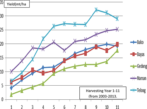 Fig. 1 Mean yield of FFB by soil type from year 1 to year 11(2003–2013).
