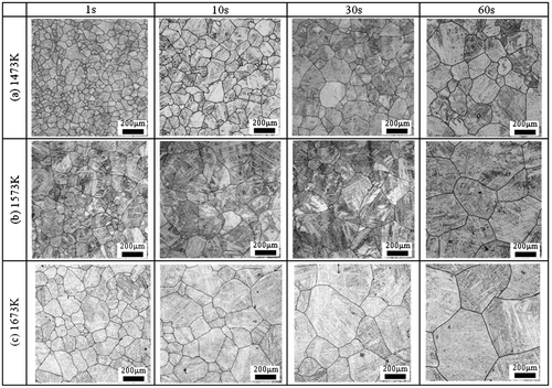 Figure 3. Microstructure of steel A at isothermal process