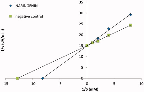 Figure 2. The Lineweaver–Burk plot of α-glucosidase and p-NPG without naringenin (negative control) and in presence of naringenin at IC50 concentration (NARINGENIN).