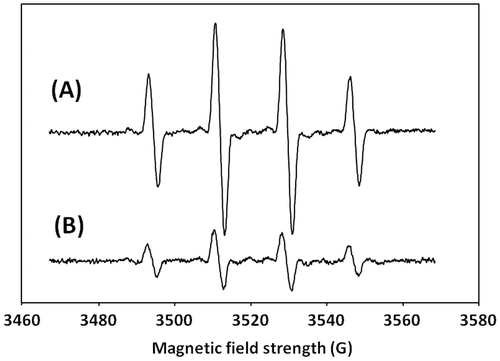 Fig. 4. ESR spectra of DMPO spin adducts obtained with (A) C. antiqua (40,000 cells/mL) and (B) C. marina (40,000 cells/mL).