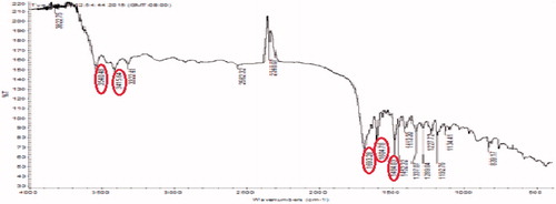 Figure 4. IR spectrum of procured folic acid.