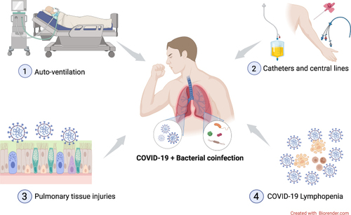 Figure 5 Enhancing factors for acquired bacterial coinfection among ICU COVID-19 patients.