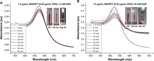 Figure S8 Ultraviolet-visible absorbance spectra for stability of gold nanoparticles conjugated with 1.5–6.25 μg/ml of BODIPY®-PEG in 5 mM and 10 mM glutathione (GSH). As prepared (AP) sample and in GSH after 60 minutes and on day 5.Abbreviations: PEG, poly(ethylene glycol).