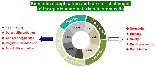 Figure 38 A summary of the biomedical applications map of inorganic nanoparticles, including the current research progresses in laboratories and challenges.