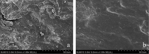 Figure 7. The surfaces of SBR with none (a) and 15 wt.% (b) CS content.