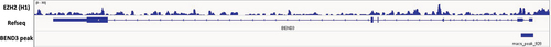 Figure 2. BEND3 occupancy at BEND3 promoter. EZH2 Chip-seq shows enrichment at the BEND3 promoter. EZH2 chip-seq (H1) and BEND3 chip-seq (NT2) are obtained from the public GEO database (GSM1003524 and GSE151235, respectively).