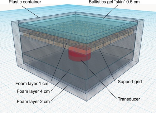 Figure 1 Phantom container system.