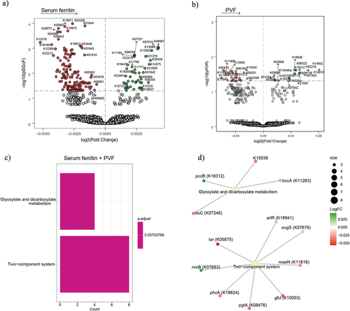 Figure 5. Association of serum ferritin and executive function with bacterial functionality in women. (a-b) Volcano plots of microbiome molecular functions associated (p adjusted < 0.05) with serum ferritin (a), and PVF (b), in women as calculated by ANCOM-BC from shotgun metagenomic sequencing, adjusting all models for age and BMI; and for years of education in PVF model. The log2 fold change of the association with a unit change in the ANCOM-BC-transformed variable values and the log10 p values adjusted for multiple comparisons using a sequential goodness of fit were plotted for each microbiome function. Significantly associated genes are colored in green (upregulated) or red (downregulated). c) Barplot plot of the KEGG pathway over-representation analyses (q value < 0.1) mapping the KEGG orthologues significantly associated with serum ferritin and PVF in women. d) Gene-concept network depicting the linkage of significant KEGG orthologues participating in KEGG pathways related to glyoxylate and dicarboxylate metabolism and two-component system for serum ferritin and PVF. PVF, phonemic verbal fluency; BMI, body mass index.