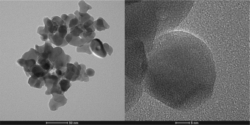 Figure 2. TEM images of powders processed by microwave sintering with chemical co-precipitated precursor powders as the starting materials.