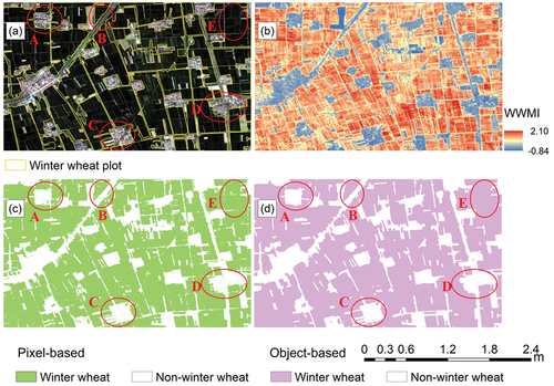 Figure 7. Subsets of the (a) true color composite of the Sentinel-2 image acquired on 12 April 2020, and (b) WWMI image and winter wheat map achieved by the (c) pixel-based WWMI and (d) object-oriented WWMI in 2020. Sites A, B, C and D show salt-and-pepper noise in (c), and site E shows unidentified field footpaths in (d).