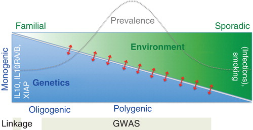 Figure 2. Inflammatory bowel disease (IBD) etiology as an example for a complex chronic inflammatory disease. In most patients (prevalence illustrated by dashed curve), IBD develops through (mostly unknown) environmental factors – also including the gut microbiome – that act on a genetically predisposed host. Yet, cases have been described where highly penetrant genetic mutations cause (monogenic) IBD. It is still discussed how relevant infections are in the onset of IBD. The gene–environment interactions (red arrows) are important in disease etiology and should be studied in more detail in the future. While genome-wide association studies (GWAS) are successful to identify common disease loci, linkage studies are more powerful to identify monogenic forms of IBD. Recently, exome-sequencing has been employed for these early-onset forms since next-generation sequencing provides single base pair resolution for mutation detection and also allows for de novo mutation detection. Modified from Kaser et al. [Citation83].