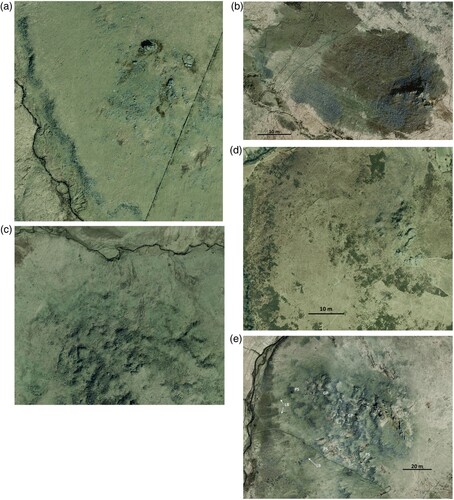 Figure 16. Google Earth aerial images of selected summit tors used in this study, illustrating tor morphology and associated clitter patterns: a) Crow Tor, distance across image is 350 m; b) Hen Tor; c) Fur Tor, distance across image is 800 m; d) Yar Tor; e) Great Mis Tor, with some examples of lateral boulder berms (LB), pendant shapes (PS) and garland patterns (GP) identified.