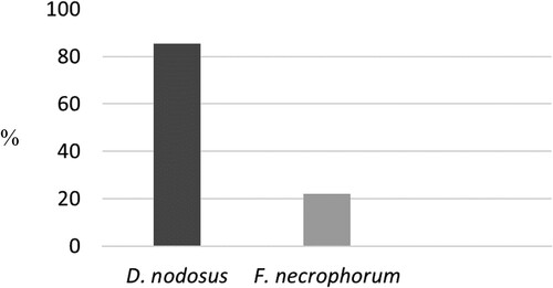 Figure 2 .#Prevalence of D. nodosus and F. necrophorum in dairy cows