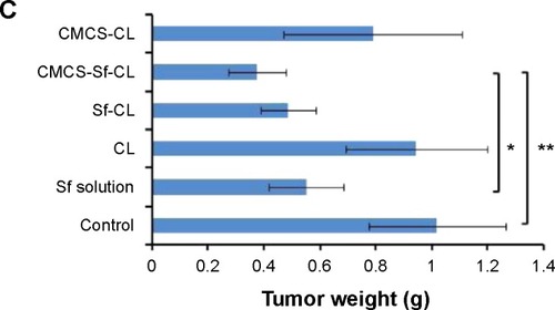 Figure 9 In vivo antitumor efficacy study in H22 cells-bearing Kunming mice tumor model after intravenous injection of PBS, free Sf solution, CL, Sf-CL, CMCS-Sf-CL, and CMCS-CL.Notes: (A) Relative tumor volume; (B) average tumor mass isolated from the mice of each experimental group; (C) variation in body weight as a function of time. Data are mean ± SD (n=5). **P<0.01, *P<0.05.Abbreviations: Sf, sorafenib; CL, blank cationic liposomes; Sf-CL, sorafenib-loaded cationic liposomes; CMCS-Sf-CL, carboxymethyl chitosan-modified sorafenib-loaded cationic liposomes; CMCS-CL, carboxymethyl chitosan-modified blank cationic liposomes; PBS, phosphate-buffered saline; siRNA, small interfering RNA.