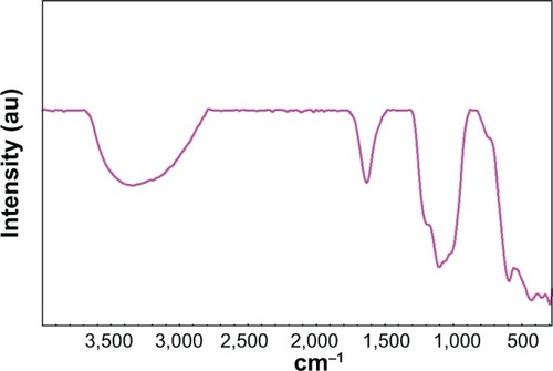 Figure 3 Fourier transform infrared spectroscopy spectra of calcined sulphated zirconia.