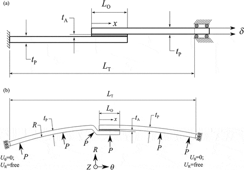 Figure 1. Geometries of the flat SLJ for the CZM validation process (a) and curved JLJ for the CZM parametric analysis (b).