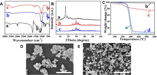 Figure 1 Characterization of DHA. (A) FT-IR spectra, (B) XRD curves and (C) TG analysis of (a) PDLA, (b) TTCP, (c) g-TTCP, and (d) g-TTCP-5. SEM image of (D) TTCP and (E) g-TTCP. Scale bars represent 20 μm.