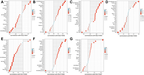 Figure 6 Correlation analyses of SLC10 family genes and 24 immune cells measured by ssGSEA in liver cancer. (A) SLC10A1, (B) SLC10A2, (C) SLC10A3, (D) SLC10A4, (E) SLC10A5, (F) SLC10A6, (G) SLC10A7.