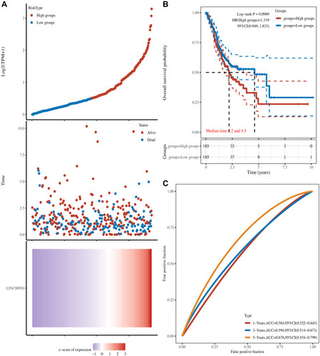 Figure 8 The prognostic analysis of LIN00924 in the TCGA set. (A) The curve of risk score, survival status of the patients and heat map of LINC00924 expression were shown. (B) Kaplan–Meier survival analysis of LINC00924. (C) Time-dependent ROC analysis of LINC00924.