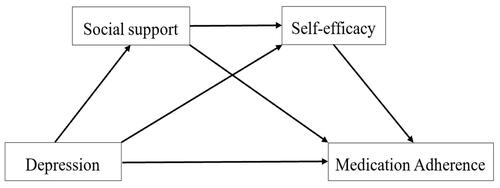 Figure 1 The hypothesized serial mediating model of social support and self-efficacy between depression and medication adherence. Independent variable: depression, mediating variables: social support and self-efficacy, dependent variable: medication adherence.