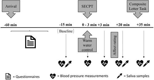 Figure 1. Experimental procedure of Study 1. SECPT: Socially Evaluated Cold Pressor Test. Times are relative to start/termination of the SECPT/Warm water control.