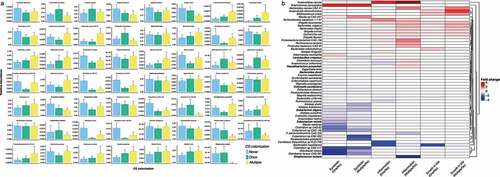 Figure 2. Results from mixed-effect random forest modeling identifies bacteria significantly associated (BH adjusted <0.05) with C. difficile colonization in NH elders. (a) We report barplots showing the average ± standard deviation of the abundance of CD-colonization significantly associated microbes in patients never, once or with multiple samples colonized by C. difficile. The average was calculated from each patient average across multiple microbiome samples. Averaging across patient is only for visualization purpose as the mixed-effect random forest modeling explicitly considered each sample from every patient. (b) heatmap displaying the log fold change between the average abundance in patients once or multi-colonized over those never colonized by C. difficile. Heatmap shows that bacteria with known symbiotic or health-associated properties (including SCFA-producers from the clostridium cluster IV an XIVa) are reduced at higher C. difficile colonization. Oppositely, bacteria associated to gastrointestinal dysbiotic conditions are enriched in elders with higher C. difficile prevalence. Red color indicates fold change increase in C. difficile colonization status while blue is decrease. Species bolded are otUs that overlap with Figure 3