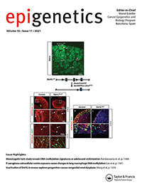 Cover image for Epigenetics, Volume 16, Issue 11, 2021