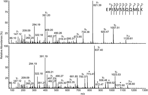 Figure 4. Partial annotated MS/MS spectra of [M + 2H]2+ ions of (A) EPISVSSQQMLK and (B) EPISVSSQQM(oxid)LK (inset shows the peptide amino acid sequence and abundant sequence-specific ions). Individual sequence-specific y-type ions allow confirmation of the amino acid sequence and assignment of the oxidized Met because y-type ions up to y2 contain an additional m/z 16, indicating conversion to Met(oxid). Some ions containing Met(oxid) also show characteristic loss of m/z 64 (labelled with *), supporting the assignment and location of the modification.