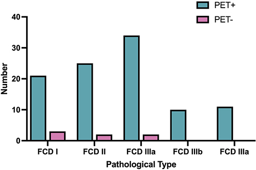 Figure 2 PET/CT results of different pathological types of FCD.