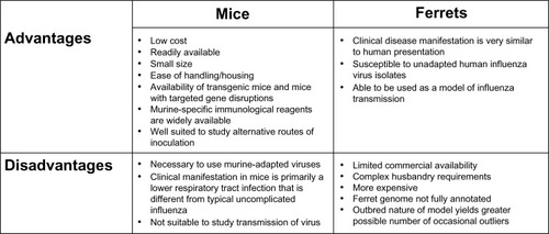 Figure 1 Advantages and disadvantages of the mouse and ferret animal models used for influenza research.