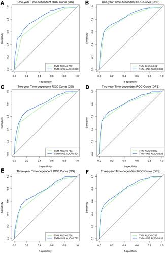 Figure 3 The prognostic performance of pathological stage combined with IINS in patients with resectable colorectal cancer. (A) The one-year time-dependent ROC curves for OS; (B) the one-year time-dependent ROC curves for DFS; (C) the two-year time-dependent ROC curves for OS; (D) the two-year time-dependent ROC curves for DFS; (E) the three-year time-dependent ROC curves for OS; (F) the three-year time-dependent ROC curves for DFS.