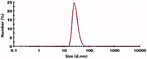 Figure 5. Zeta potential analysis of LDL nanoprobe.