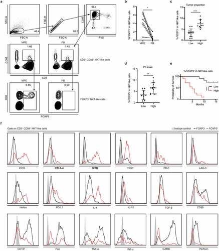 Figure 1. Phenotypic characteristics of NKT-like cells in MPE. (a) FOXP3+CD3+CD56+ NKT-like cells from MPE and PB were identified using flow cytometry. (b) The proportion of FOXP3+ NKT-like cells in NKT-like cells in MPE was significantly higher than that in corresponding PB (n = 7). Wilcoxon paired sign-rank test. Data were shown as mean ± SD. (c) The proportion of FOXP3+ NKT-like cells in MPE in the high tumor proportion group (n = 10) was significantly higher than that in the low tumor proportion group (n = 13). Mann-Whitney test. Data were shown as mean ± SD. (d) The proportion of FOXP3+ NKT-like cells in MPE in the high PS score group (n = 13) was significantly higher than that in the low PS score group (n = 10). Mann-Whitney test. Data were shown as mean ± SD. (e) The prognosis of patients with a high proportion of FOXP3+ NKT-like cells in NKT-like cells (≥5%, n = 11) was poorer than that with a low proportion of FOXP3+ NKT-like in NKT-like cells (<5%, n = 12). Log-rank test. Data were shown as Kaplan-Meier curves. (f) Compared with FOXP3− NKT-like cells, FOXP3+ NKT-like cells expressed higher levels of ICOS, CTLA-4, GITR, TIGIT, PD-1, LAG-3, Helios, PD-L1, IL-4, IL-10, and TGF-β, and lower levels of CD69, CD161, Fas, TNF-α, IFN-γ, GZMB, and perforin. All experiments were repeated at least three times. Only representative FACS profiles were shown. * P < .05, ** P < .01, *** P < .001, **** P < .0001, ns, not significant.