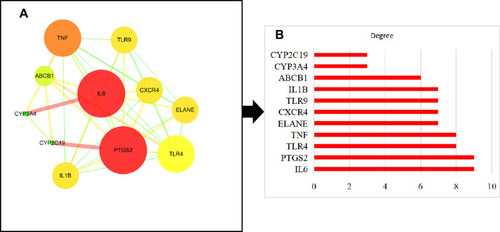 Figure 4 (A) PPI network of CP targets of FFZJF. (B) Hub genes of the PPI network.