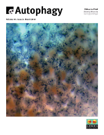 Cover image for Autophagy, Volume 10, Issue 3, 2014
