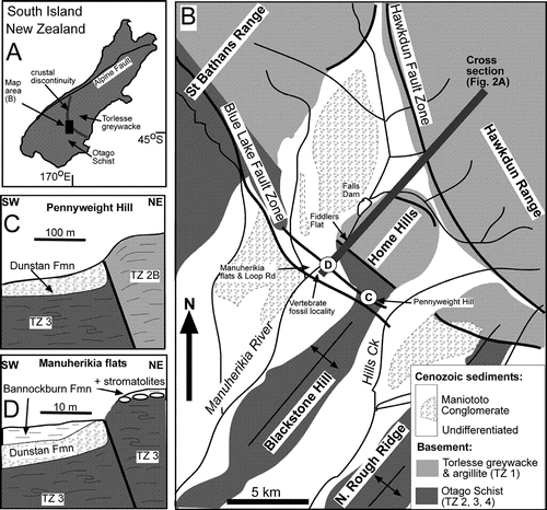 Figure 1  Locality diagrams for the Blue Lake Fault Zone. A, Location of the area of the Blue Lake Fault Zone of this study, in relation to the crustal discontinuity between Torlesse greywacke and Otago Schist (Upton et al. 2009) in the South Island of New Zealand. B, General geology (partly after Forsyth 2000) of the area surrounding the Manuherikia river gorge, which extends from Falls Dam to the Manuherikia flats near Loop Road. C, D, Sketch cross-sections through active strands of the Blue Lake Fault Zone, at localities marked in B.