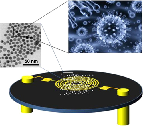 Figure S1 Schematic representation of the GNP sensors used in this study (not drawn to scale).Note: The left inset in the sensor’s schematics shows a tunneling electron micrograph (TEM) of the GNPs in solution.Abbreviations: GNP, gold nanoparticle; TEM, tunneling electron micrograph.