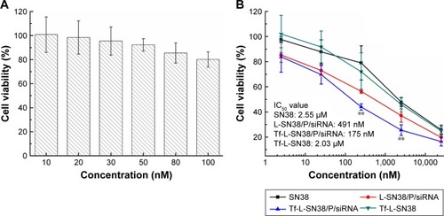 Figure 4 Cell viability for various liposome preparations by MTT assay in vitro.Notes: HeLa cells were incubated with liposome preparations for 48 hours. (A) Cytotoxicity of L-P/siRNA at different concentrations. (B) Cytotoxicity of SN38, L-SN38/P/siRNA, Tf-L-SN38/P/siRNA or Tf-L-SN38 (significantly different at **P<0.01, Tf-L-SN38/P/siRNA vs L-SN38/P/siRNA).