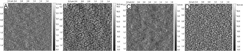Figure 2. AFM images of the surface of PMMA (A and B) and PS (C and D) samples (virgin (A and C) and irradiated Ta (B and C) up to DPA = 0.054).